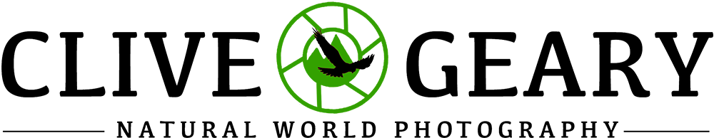 Clive Geary Photography